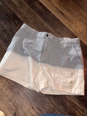 Tommy Hilfiger Blue & White Striped Flat Front Women’s Shorts